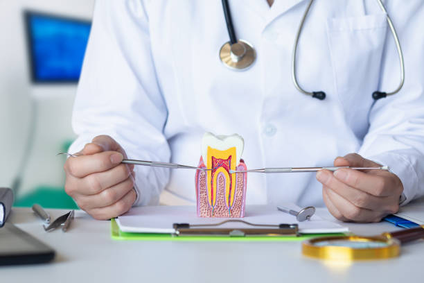 Best Urgent Care for Lost Fillings or Crowns in North Shore, CA